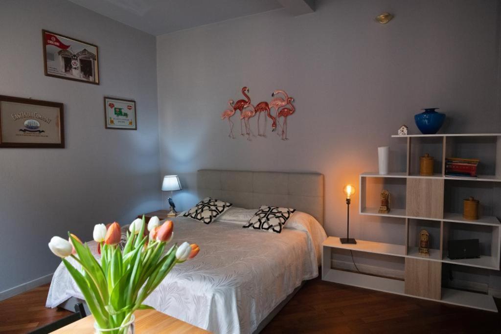 Studio Neve Boloňa Exteriér fotografie