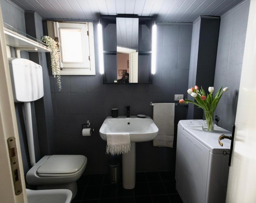 Studio Neve Boloňa Exteriér fotografie